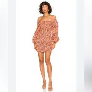 NWT Free People Smock it to me dress